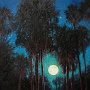 Kanapaha Moonlight Walk - Oil on canvas 24 x 18 Copyright 2012 Tim Malles (479x640)